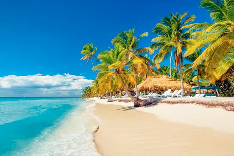 Isla Saona y piscina natural en Punta Cana
