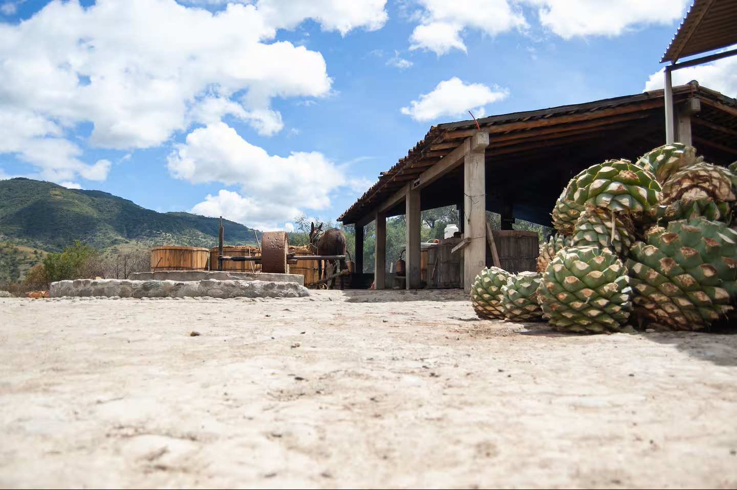 Destilería de mezcal artesanal en los Valles de Oaxaca